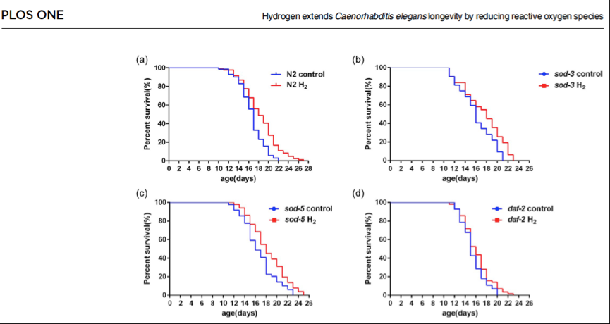 氢气长寿效应的线虫研究［新］
